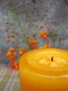 Candles by Donald review, Candlefind.com, the site for candle lovers